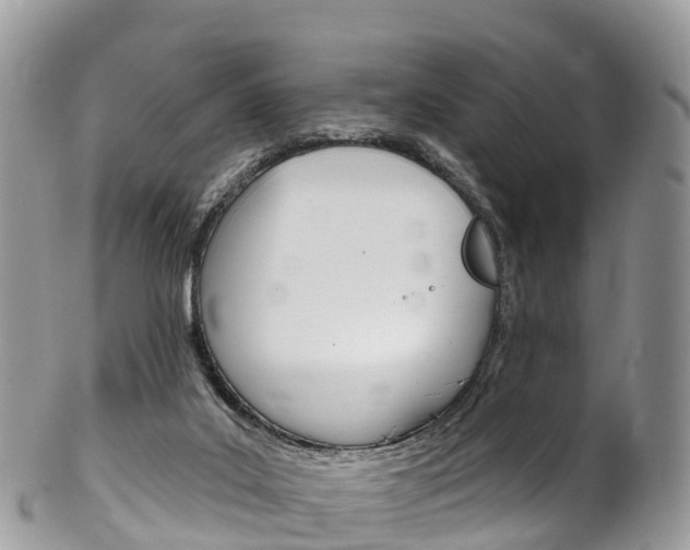 X0000102790019200808181003