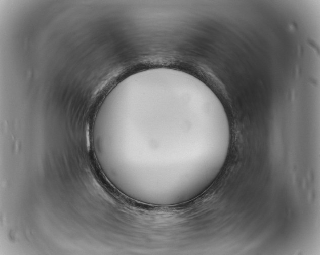 X0000102790020200808181003