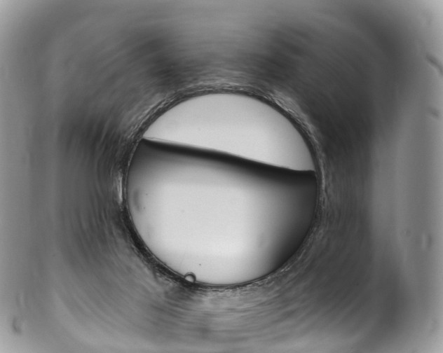 X0000102790021200808181003