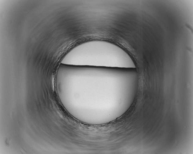 X0000102790022200808181003