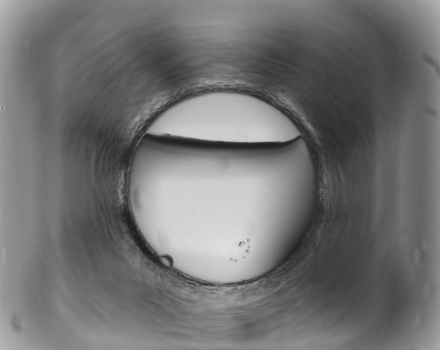 X0000102790023200808181003