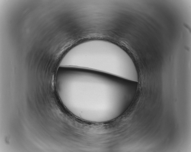 X0000102790024200808181003