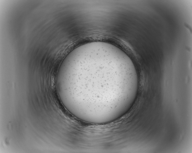 X0000102790025200808181003
