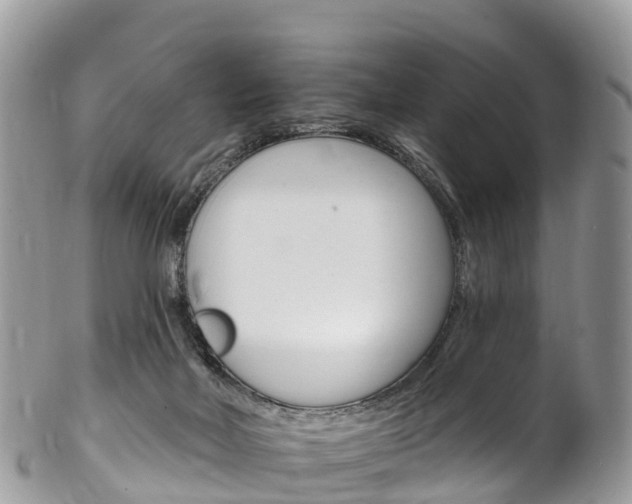 X0000102790026200808181003