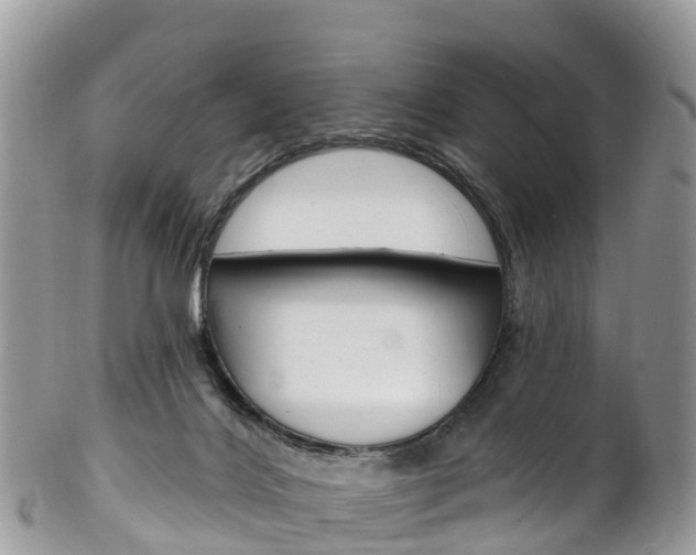 X0000102790028200808181003