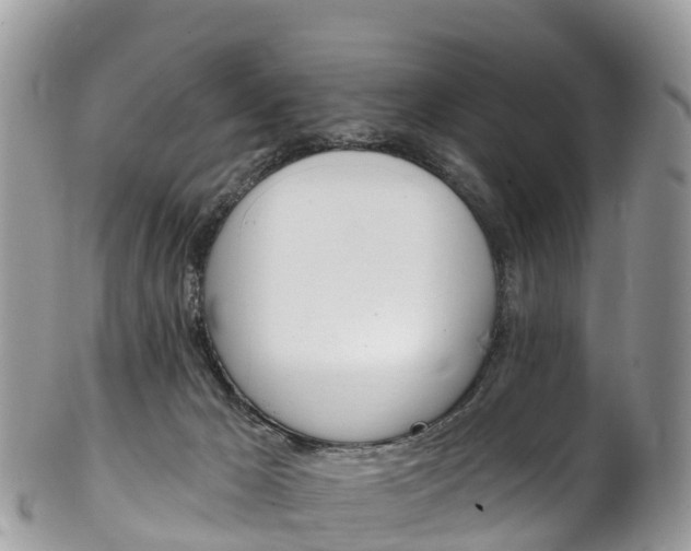 X0000102790029200808181003