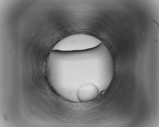 X0000102790030200808181003