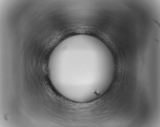 X0000102790031200808181003