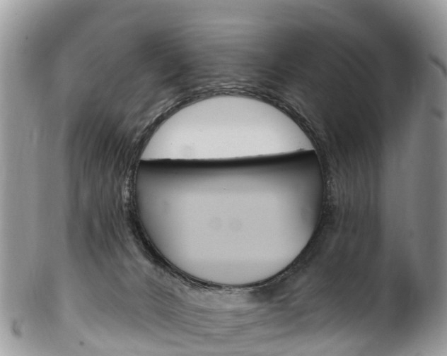 X0000102790032200808181003