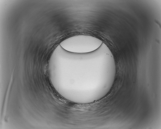 X0000102790033200808181003