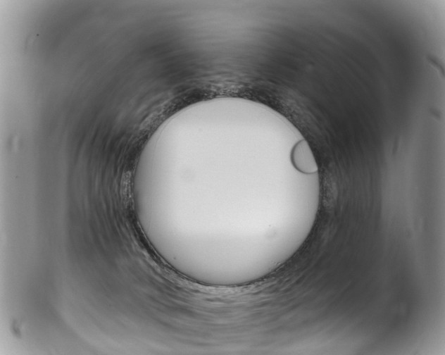 X0000102790034200808181003