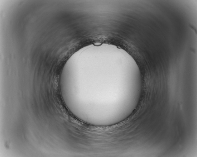 X0000102790037200808181003