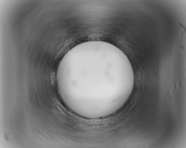X0000102790038200808181003