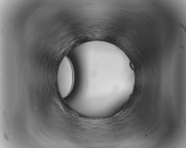 X0000102790040200808181003