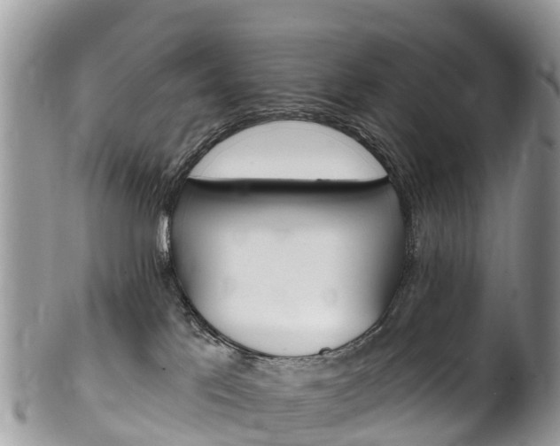 X0000102790041200808181003