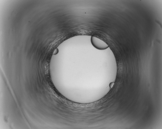 X0000102790043200808181003