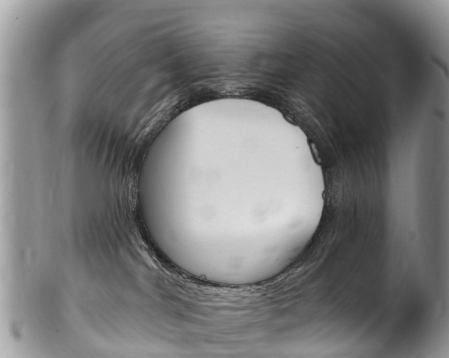 X0000102790044200808181003