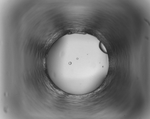 X0000102790045200808181003