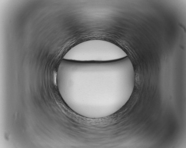 X0000102790046200808181003