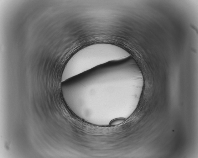 X0000102790048200808181003