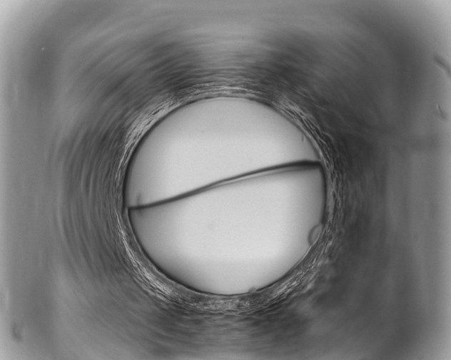 X0000102790049200808181002