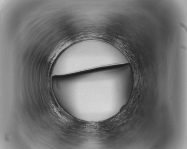 X0000102790050200808181002