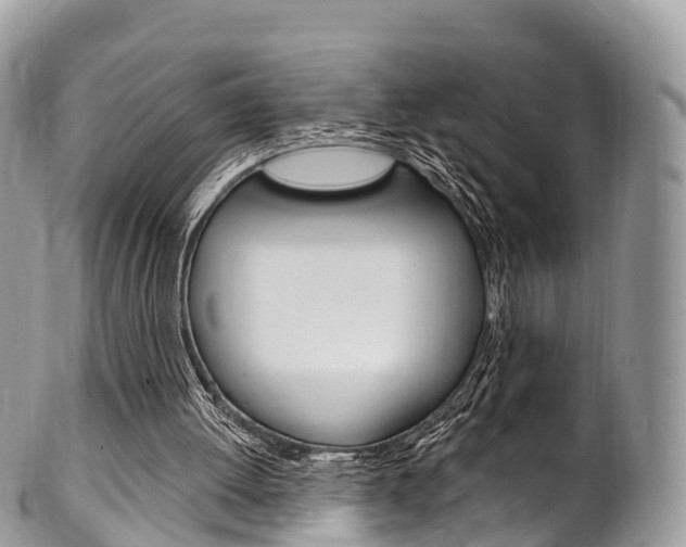 X0000102790052200808181002