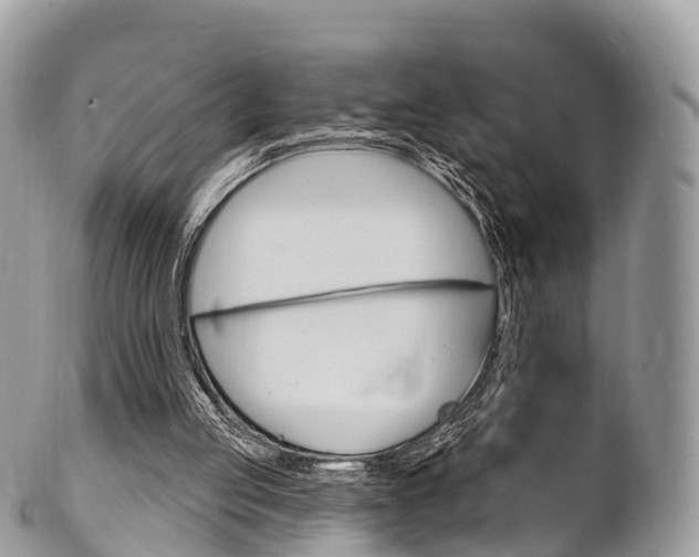 X0000102790053200808181002