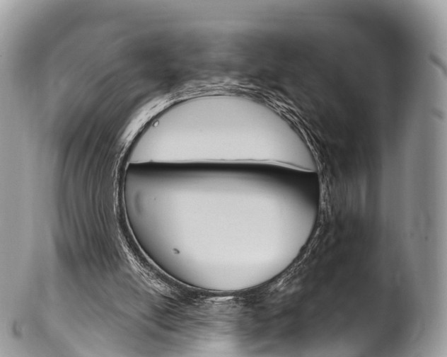 X0000102790054200808181002