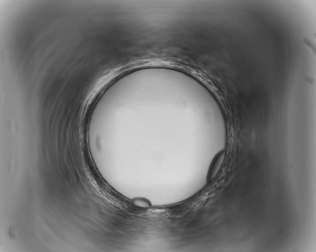 X0000102790055200808181002