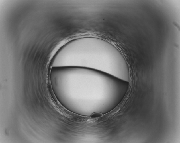 X0000102790056200808181002
