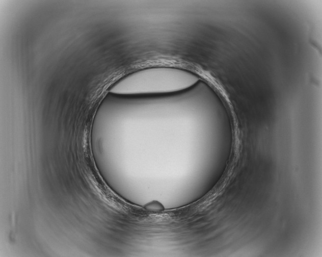 X0000102790057200808181002