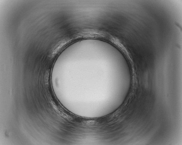 X0000102790058200808181003