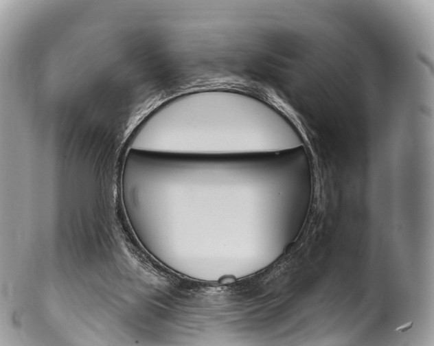 X0000102790059200808181003