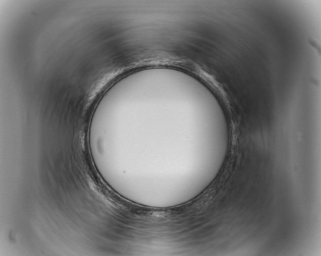 X0000102790060200808181003