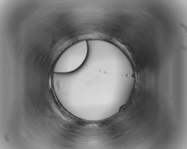 X0000102790061200808181003