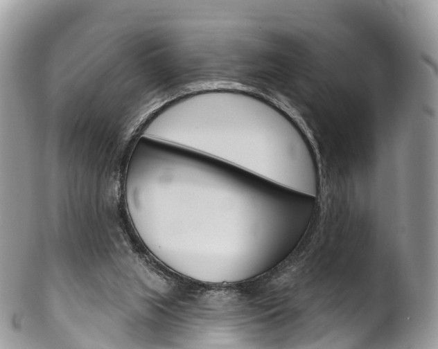 X0000102790063200808181003