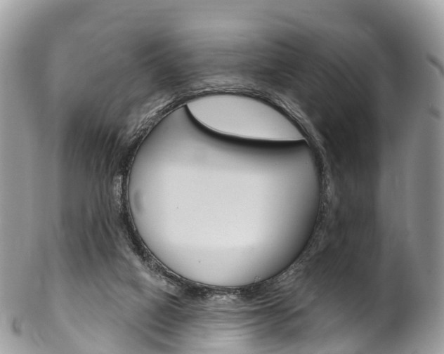 X0000102790066200808181003