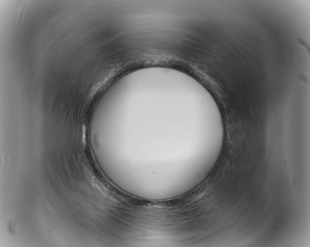 X0000102790067200808181003