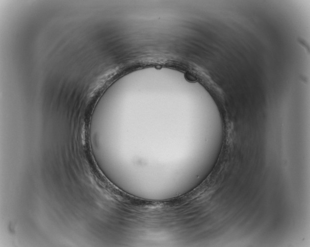 X0000102790068200808181003