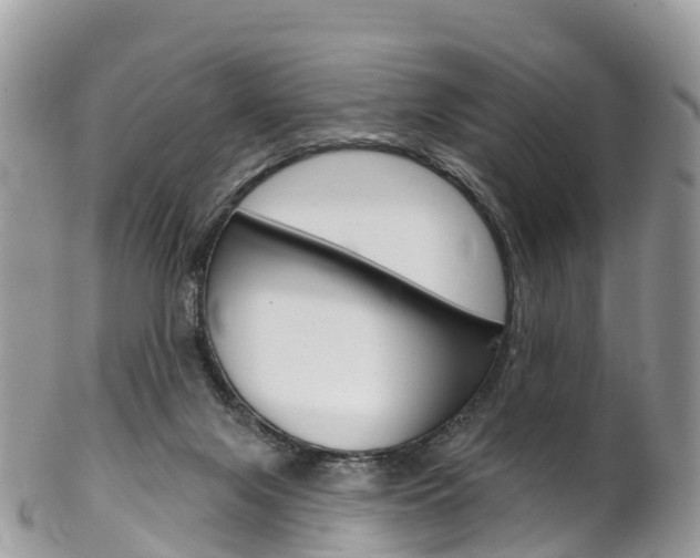 X0000102790071200808181003