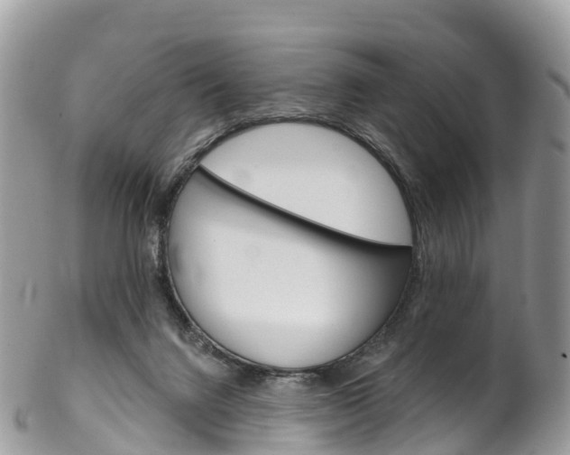 X0000102790072200808181003