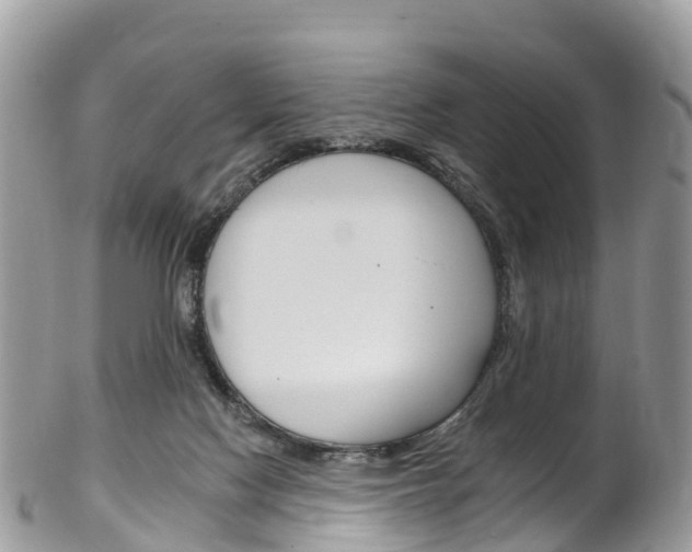 X0000102790074200808181003