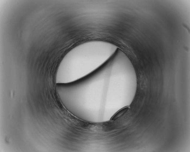 X0000102790075200808181003