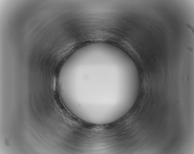 X0000102790076200808181003