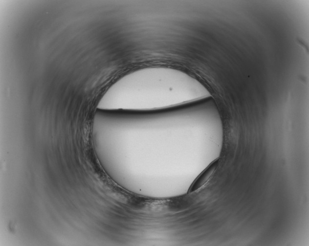 X0000102790078200808181003