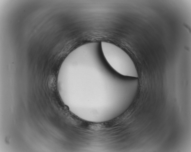 X0000102790079200808181003