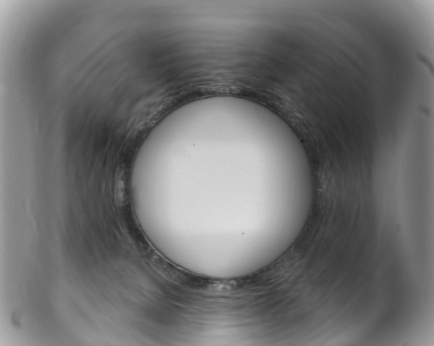 X0000102790080200808181003