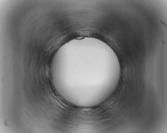 X0000102790081200808181003