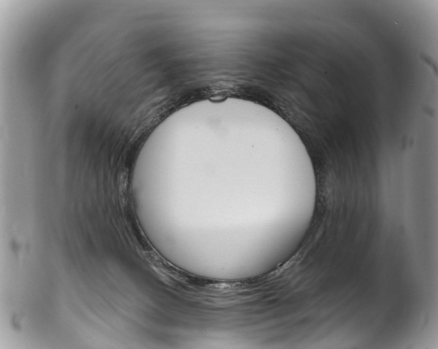 X0000102790082200808181003